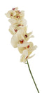 Artificial 109cm Single Stem Cream Phalaenopsis Orchid